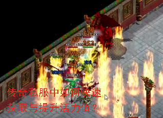 传奇私服中如何快速获取与提升活力值? 传奇私服中如何快速获取与提升活力值?