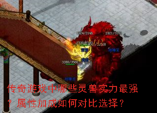 传奇游戏中哪些灵兽实力最强?属性加成如何对比选择? 传奇游戏中哪些灵兽实力最强?属性加成如何对比选择?