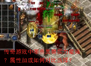 传奇游戏中哪些灵兽实力最强?属性加成如何对比选择? 传奇游戏中哪些灵兽实力最强?属性加成如何对比选择?