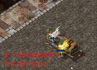 新手如何快速掌握传奇私服打怪技巧? 新手如何快速掌握传奇私服打怪技巧?