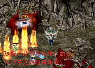 想自己开传奇私服?新手入门常见问题有哪些? 想自己开传奇私服?新手入门常见问题有哪些?