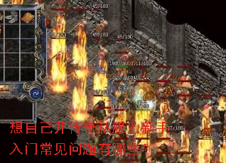 想自己开传奇私服?新手入门常见问题有哪些? 想自己开传奇私服?新手入门常见问题有哪些?