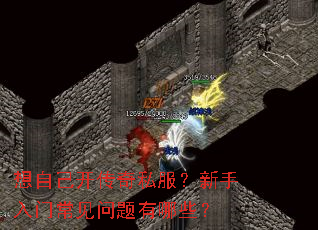 想自己开传奇私服?新手入门常见问题有哪些? 想自己开传奇私服?新手入门常见问题有哪些?