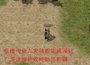 极道传奇九大技能如何强化?深度解析攻略助你称霸 极道传奇九大技能如何强化?深度解析攻略助你称霸
