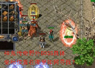 �������Ұ��BOSS��������λ�����������Ѱ�ң�
