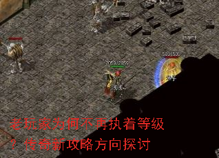 �����Ϊ�β���ִ�ŵȼ��������¹��Է���̽��