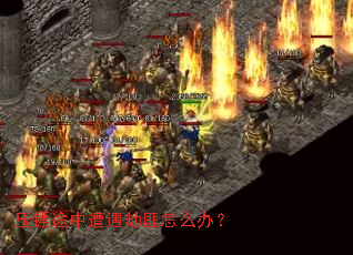 压镖途中遭遇劫匪怎么办? 压镖途中遭遇劫匪怎么办?