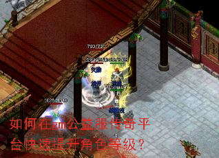如何在gm公益服传奇平台快速提升角色等级? 如何在gm公益服传奇平台快速提升角色等级?