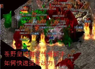 苍野皇城复古传奇新手如何快速提升战力? 苍野皇城复古传奇新手如何快速提升战力?