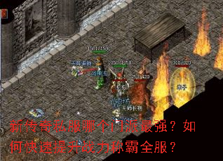 新传奇私服哪个门派最强?如何快速提升战力称霸全服? 新传奇私服哪个门派最强?如何快速提升战力称霸全服?