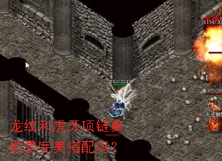 龙纹和虎牙项链真的是完美搭配吗? 龙纹和虎牙项链真的是完美搭配吗?