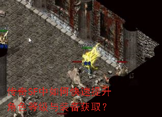 传奇SF中如何快速提升角色等级与装备获取? 传奇SF中如何快速提升角色等级与装备获取?