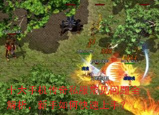 十大手机传奇私服常见问题全解析,新手如何快速上手? 十大手机传奇私服常见问题全解析,新手如何快速上手?