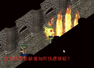 复古传奇贡献值如何快速获取? 复古传奇贡献值如何快速获取?