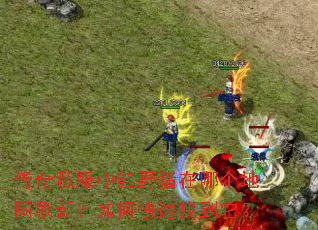 传奇私服中红野猪在哪个地图刷新?如何快速找到它? 传奇私服中红野猪在哪个地图刷新?如何快速找到它?