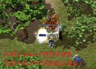 如何在zhaosf中变私服快速提升战力与获取极品装备? 如何在zhaosf中变私服快速提升战力与获取极品装备?