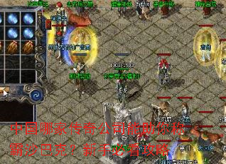 中国哪家传奇公司能助你称霸沙巴克?新手必看攻略 中国哪家传奇公司能助你称霸沙巴克?新手必看攻略