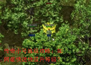 传奇小号练级攻略:如何最快速地提升等级? 传奇小号练级攻略:如何最快速地提升等级?