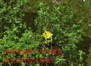 如何快速提升传世服务端角色等级与装备? 如何快速提升传世服务端角色等级与装备?