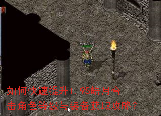 如何快速提升1.95皓月合击角色等级与装备获取攻略? 如何快速提升1.95皓月合击角色等级与装备获取攻略?