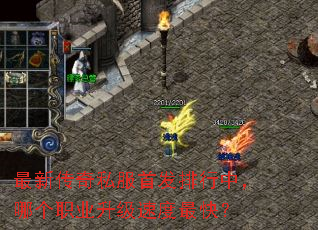���´���˽���׷������У��ĸ�ְҵ�����ٶ���죿