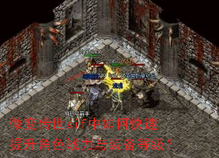 微变传世sif中如何快速提升角色战力与装备等级? 微变传世sif中如何快速提升角色战力与装备等级?