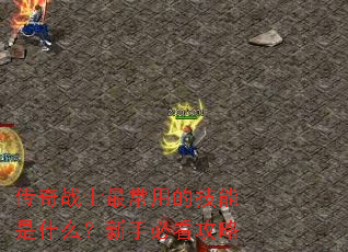 传奇战士最常用的技能是什么?新手必看攻略 传奇战士最常用的技能是什么?新手必看攻略