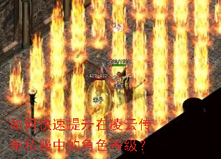 如何快速提升在凌云传奇私服中的角色等级? 如何快速提升在凌云传奇私服中的角色等级?