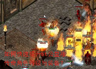 如何快速提升bt公益服传奇角色等级与装备? 如何快速提升bt公益服传奇角色等级与装备?