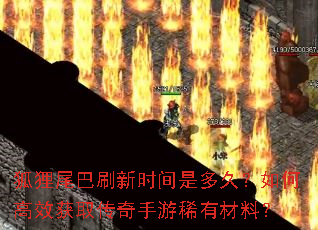 狐狸尾巴刷新时间是多久?如何高效获取传奇手游稀有材料? 狐狸尾巴刷新时间是多久?如何高效获取传奇手游稀有材料?