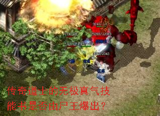 传奇道士的无极真气技能书是否由尸王爆出? 传奇道士的无极真气技能书是否由尸王爆出?