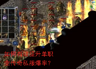 �����Ч������ְҵ����˽�����ʣ�