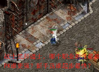 սʿ��ʦ��ʿ���ĸ�ְҵˢ����ˬ��PK˭��ǿ������ѡ˭����죿