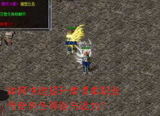 如何快速提升柔情单职业传奇角色等级与战力? 如何快速提升柔情单职业传奇角色等级与战力?