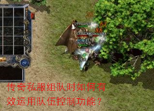 传奇私服组队时如何有效运用队伍控制功能? 传奇私服组队时如何有效运用队伍控制功能?