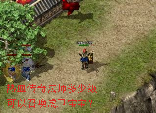 ��Ѫ���淨ʦ���ټ������ٻ�����������