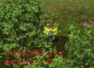 �����Թ���ͼ��ô�߲�����쵽����һ�㣿