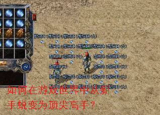如何在游戏世界中从新手蜕变为顶尖高手? 如何在游戏世界中从新手蜕变为顶尖高手?