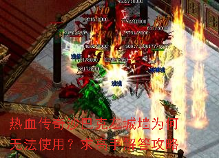 ��Ѫ����ɳ�Ϳ����ǽΪ���޷�ʹ�ã�����ֽ����