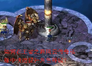 如何在王者之路风云传奇私服中快速提升角色等级? 如何在王者之路风云传奇私服中快速提升角色等级?