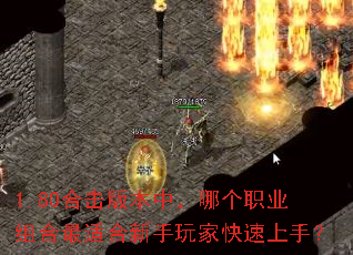 1.80合击版本中,哪个职业组合最适合新手玩家快速上手? 1.80合击版本中,哪个职业组合最适合新手玩家快速上手?