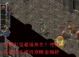 如何打造最强角色?传奇私服高手进阶攻略全解析 如何打造最强角色?传奇私服高手进阶攻略全解析
