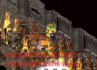如何快速升到655级?超变传奇苹果版顶级攻略全解析 如何快速升到655级?超变传奇苹果版顶级攻略全解析