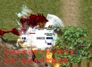 ������δ�����ܳưԴ���ս������ǿ��Ϲ��Խ���