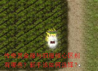 传奇赏金服与旧服核心区别有哪些?新手该如何选择? 传奇赏金服与旧服核心区别有哪些?新手该如何选择?