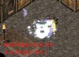 如何在神佑奇迹私服中快速提升角色等级? 如何在神佑奇迹私服中快速提升角色等级?