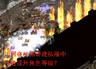 如何在神佑奇迹私服中快速提升角色等级? 如何在神佑奇迹私服中快速提升角色等级?