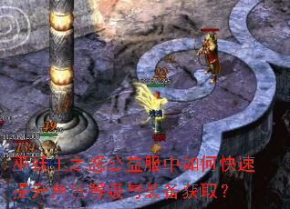 巫妖王之怒公益服中如何快速提升角色等级与装备获取? 巫妖王之怒公益服中如何快速提升角色等级与装备获取?