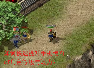 如何快速提升手机传奇sf角色等级与战力? 如何快速提升手机传奇sf角色等级与战力?