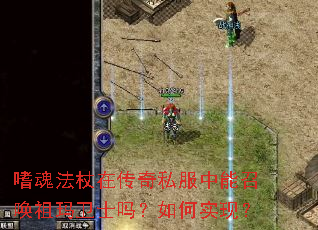 嗜魂法杖在传奇私服中能召唤祖玛卫士吗?如何实现? 嗜魂法杖在传奇私服中能召唤祖玛卫士吗?如何实现?